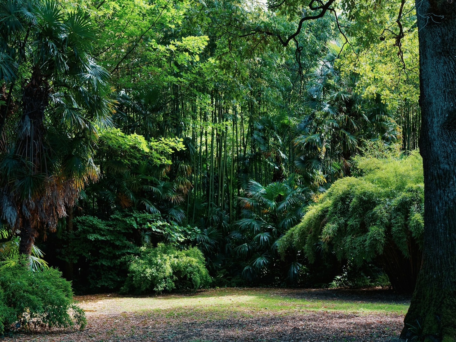 Practical Tips for a Meaningful Spiritual Practice